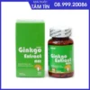 Bổ não Ginkgo Extract Max  GNS nhập khẩu Mỹ lọ 90 viên